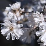 Can Advertisement Campaigning Be A Business?
You can choose …