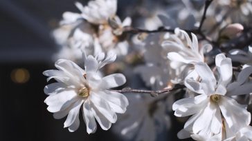 Can Advertisement Campaigning Be A Business?
You can choose …