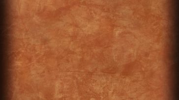 Easy Guide To Find Organic Restaurants?
The globe wired inte…