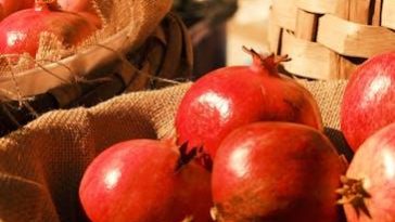 Vitamin Baskets
You can begin special house service vitamin …