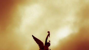 Twenty Four Hour In Italy: Let’s Fun!
Every little thing con…