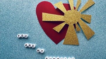 Physical Wellness: Our Most Precious Possession
Do you work …