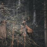 Buck Consume Alcohol Evening: Boozing With Colleagues Can Assist You Monetarily