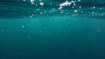 Consume alcohol A Lot More Water For Even More Power