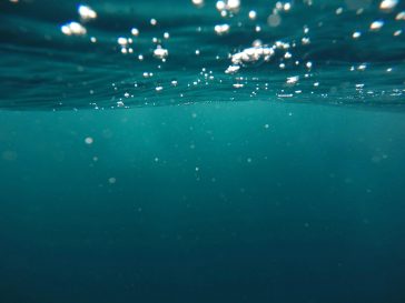Consume alcohol A Lot More Water For Even More Power