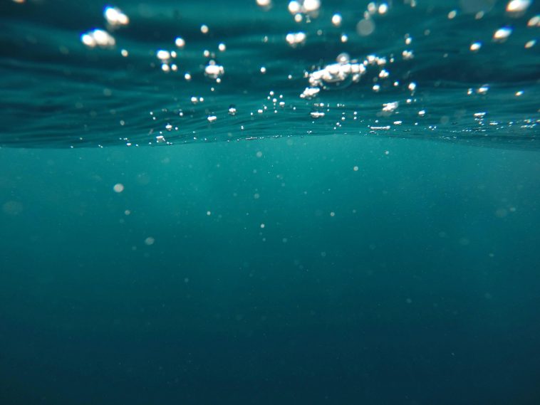 Consume alcohol A Lot More Water For Even More Power