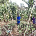 Organic Foods: Why You Should Get Straight From Farmers