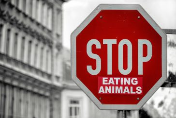 Simply just how To Come To Be A Vegan Rapid
Think worrying why y.