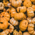 46 – Tips for a Tasty Vegetarian Thanksgiving
If you’re orga…