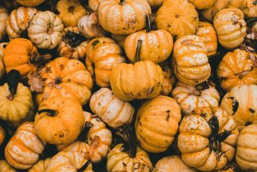 46 – Tips for a Tasty Vegetarian Thanksgiving
If you’re orga…