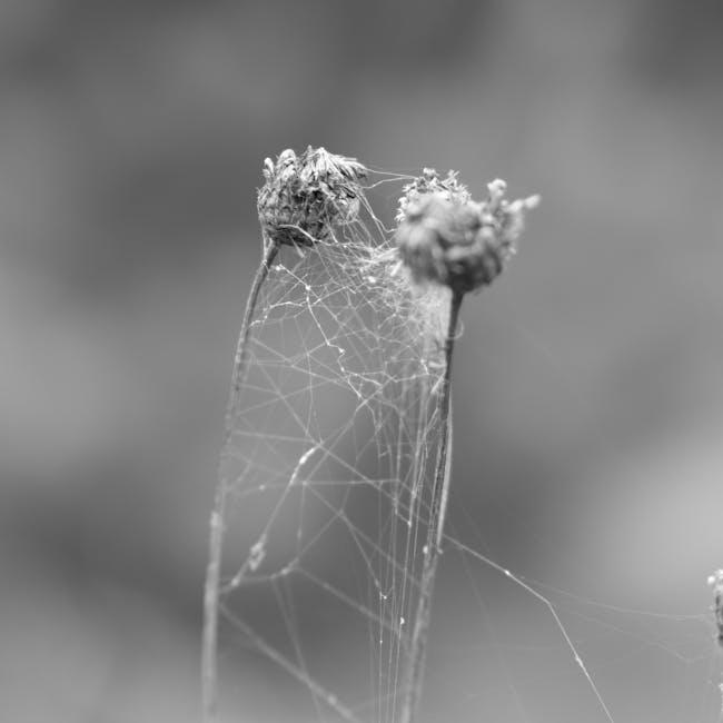 Complex ‌vs. Simple Carbs: Making Informed‌ Choices