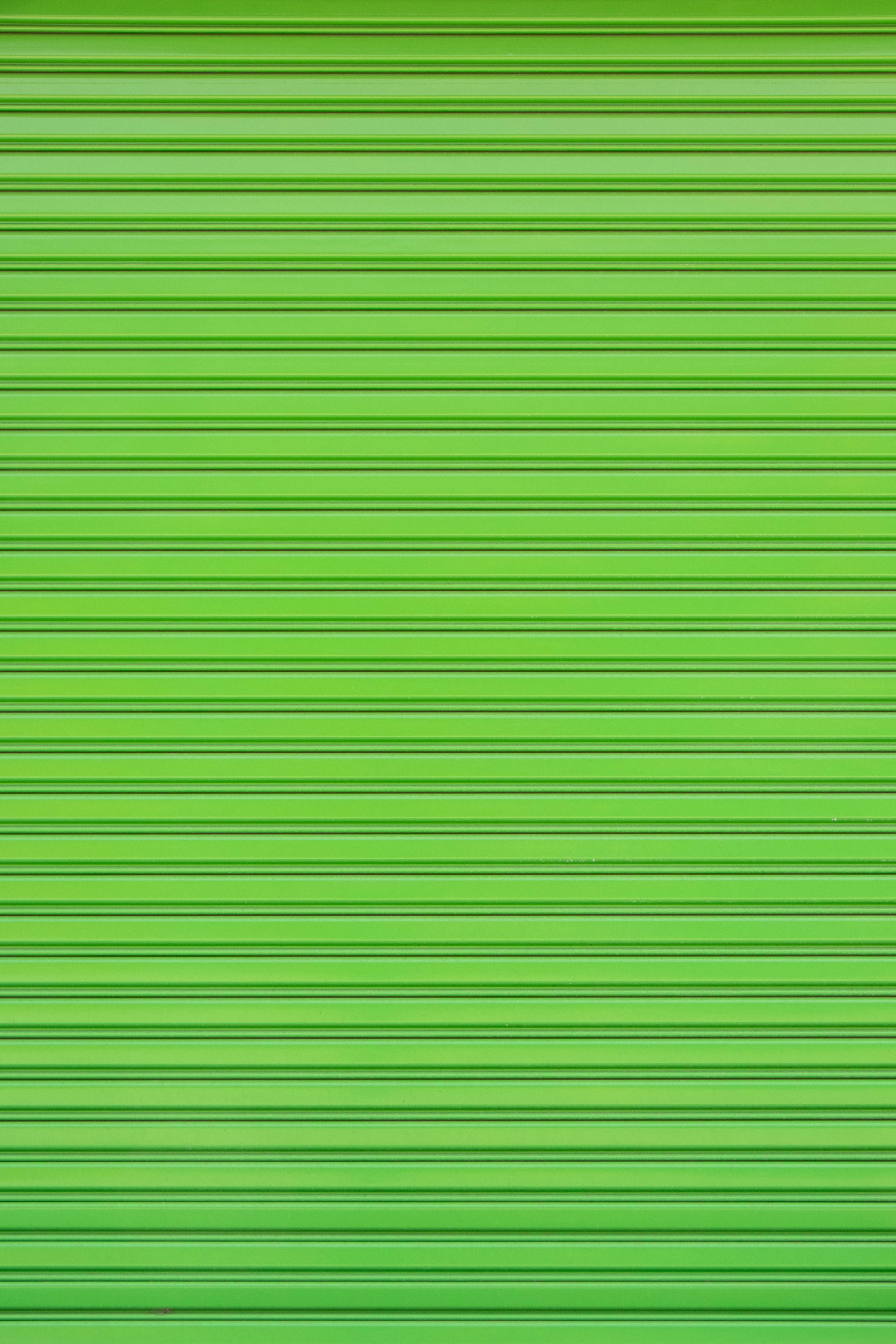 Exploring Key Compounds: How Catechins and Caffeine Work