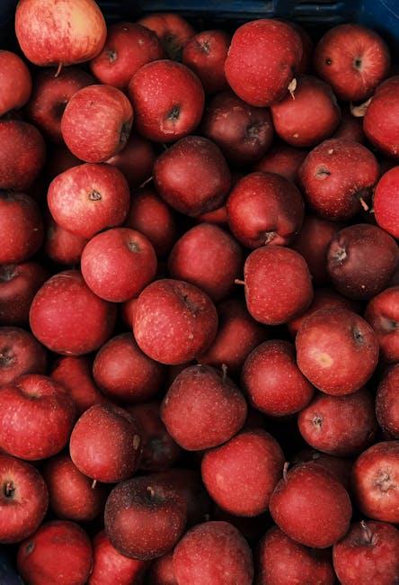 Understanding Key Vitamins and Minerals for Vegans