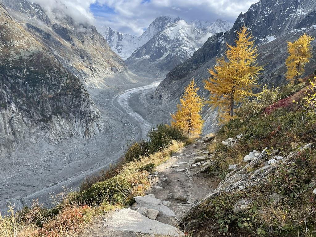 Making Informed Choices: Tips for Incorporating Plant-Based Meats into Your Diet