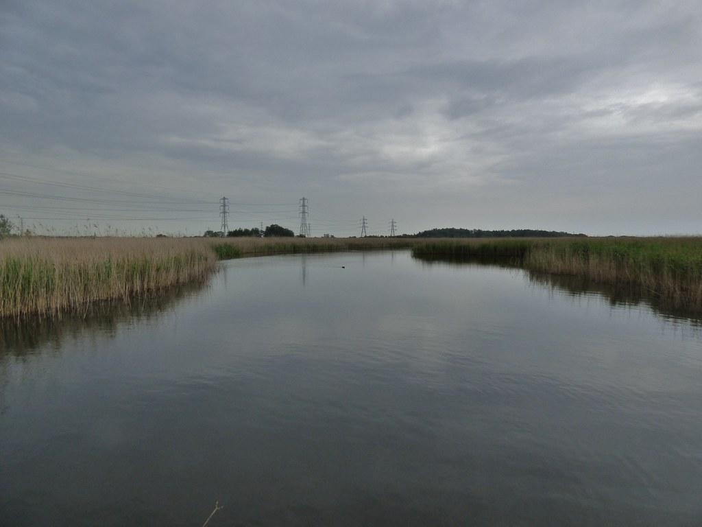 Essential Equipment for Homemade Vegan Cheese Making
