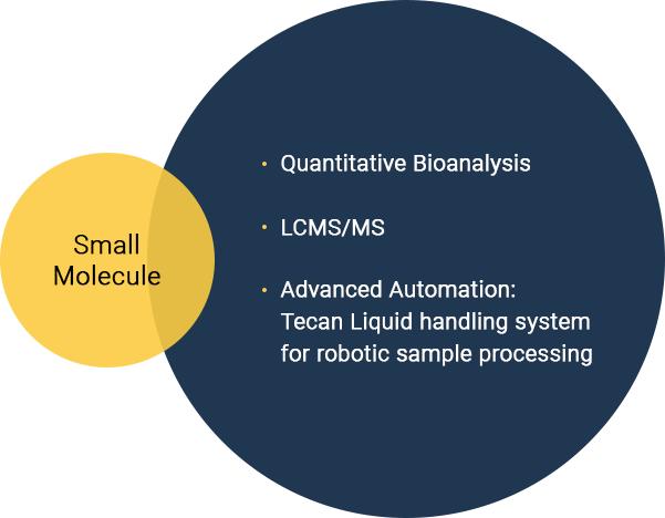 Comparing Bioavailability: Plant-Based‌ vs. Marine Omega-3s
