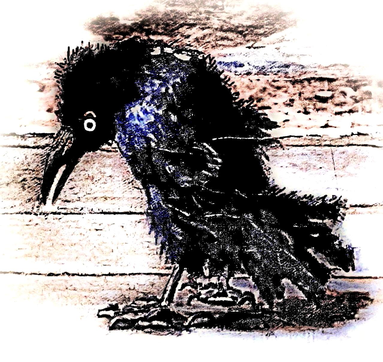 Epicurean Journeys Recommendations for Dining in Athens Historic Gems