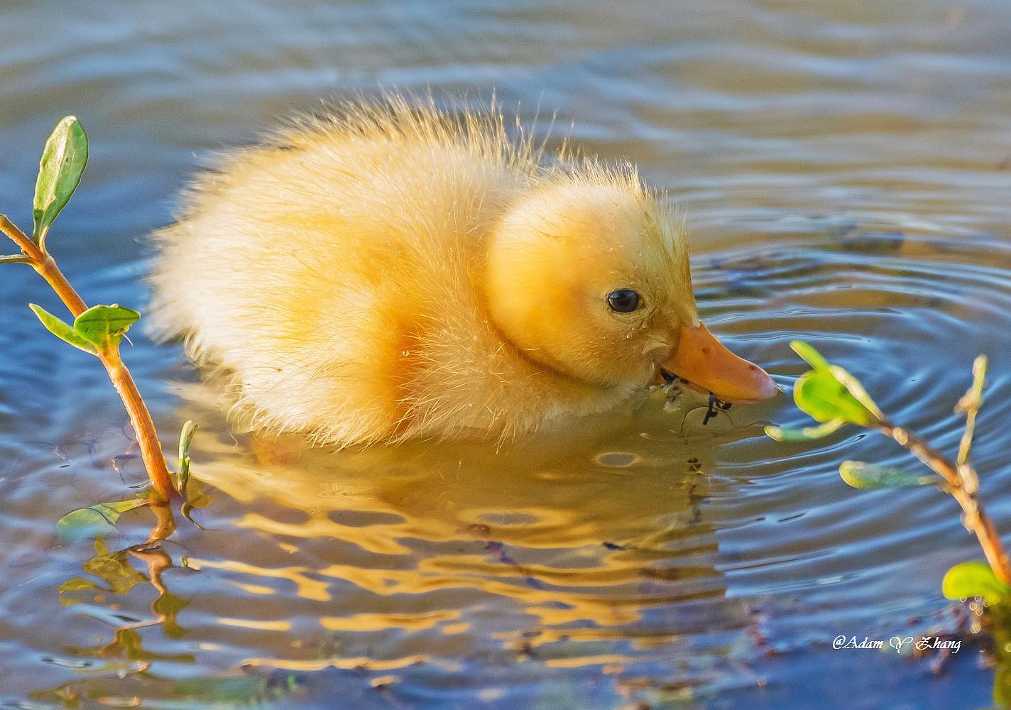 Making Informed Choices: A Guide for Conscious Consumers