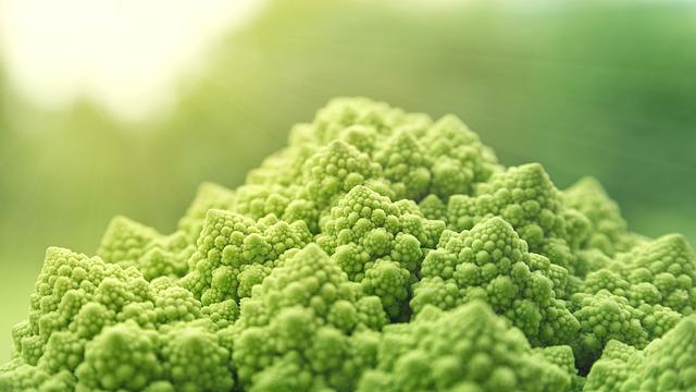 The Environmental Impact of Choosing Vegan Options