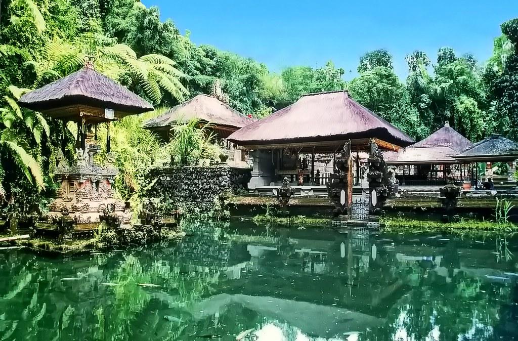 The Hydration Hype: How Coconut ‍Water⁤ Measures​ Up