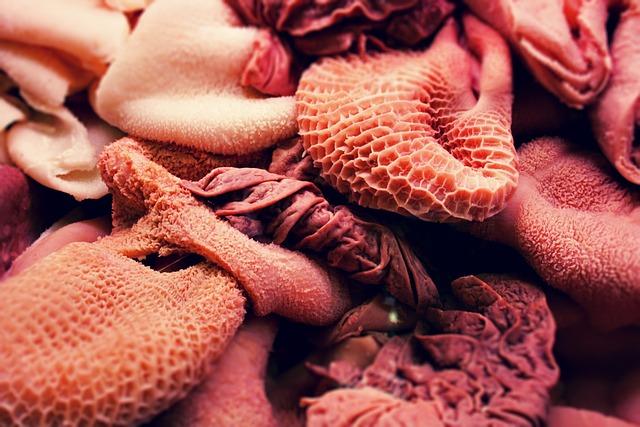 From Waste to Taste how Offal Reduces Food Waste and Supports Eco-Friendly Practices