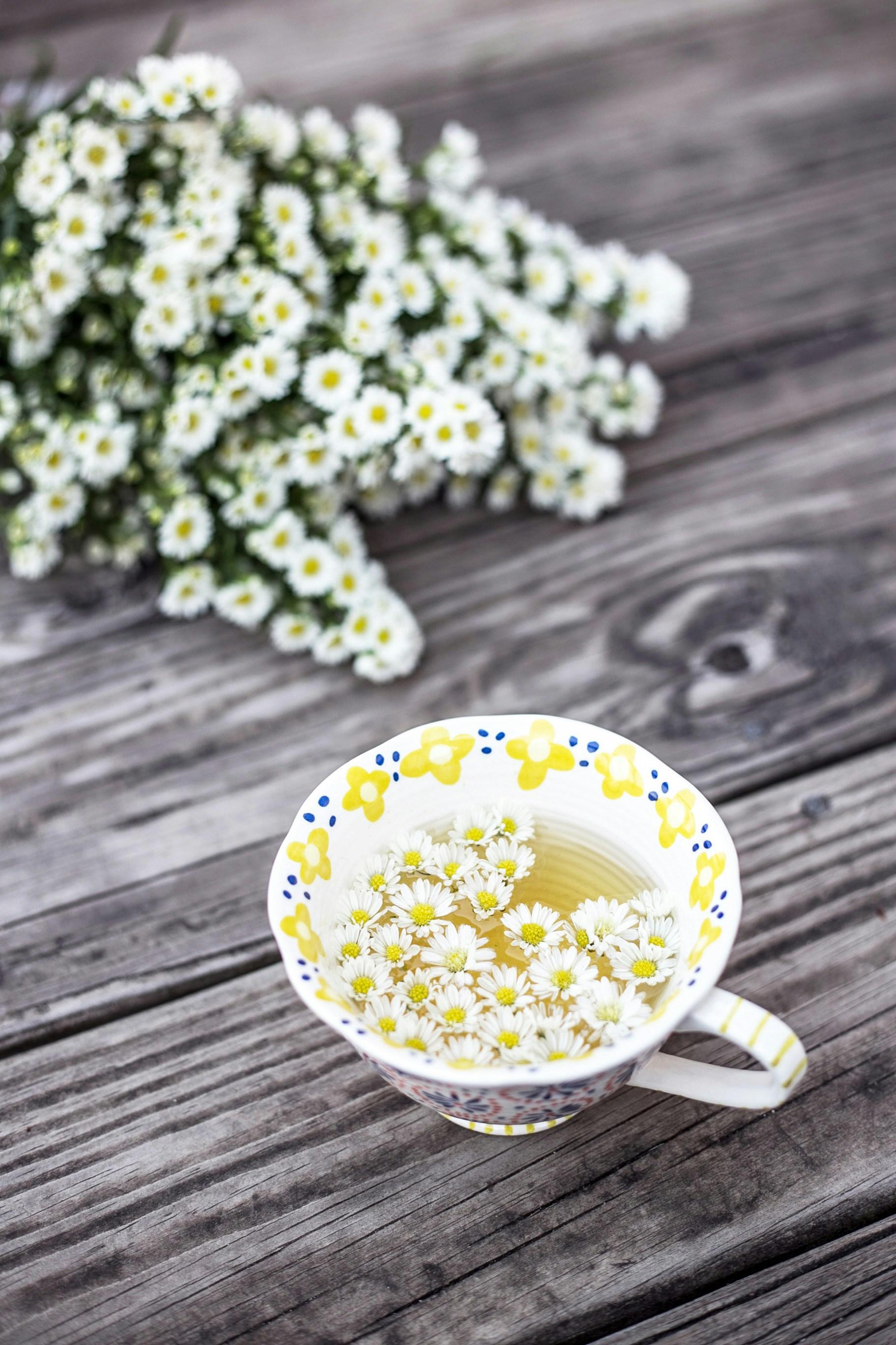 Harnessing Herbal Allies for Gut Health