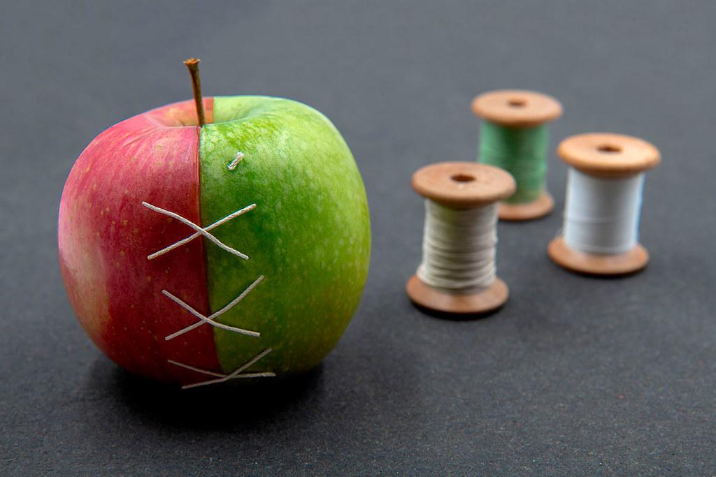 Practical Steps for a Compassionate Transition