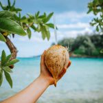 Are Coconut Waters Overrated