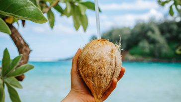 Are Coconut Waters Overrated