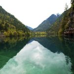 Making fast-food style fried fish at home