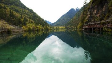 Making fast-food style fried fish at home