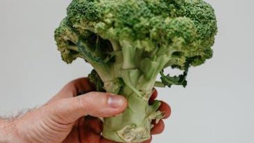 Strategies for sustainable weight loss