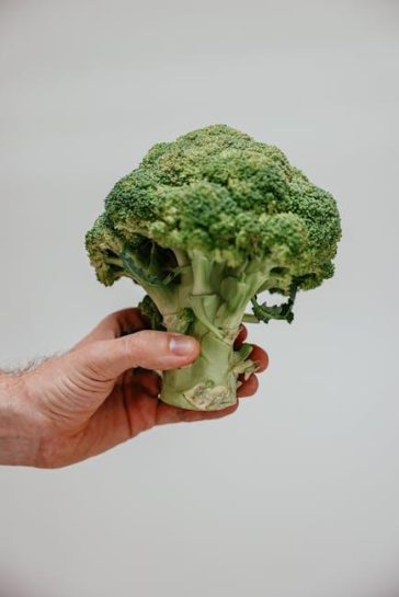 Strategies for sustainable weight loss