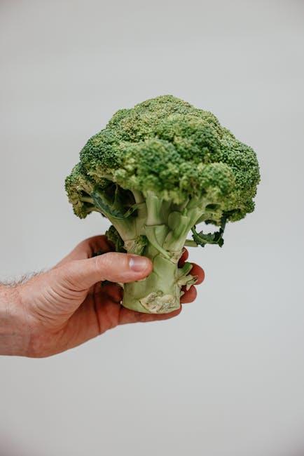 Strategies for sustainable weight loss
