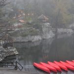 Best local spots for farm-to-table cuisine in Tokyo