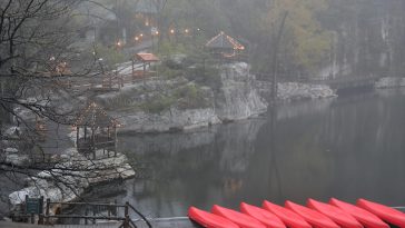 Best local spots for farm-to-table cuisine in Tokyo