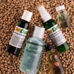 Are Soy-Based Products Safe for Daily Consumption