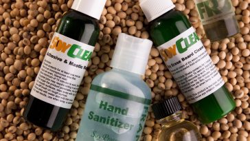 Are Soy-Based Products Safe for Daily Consumption