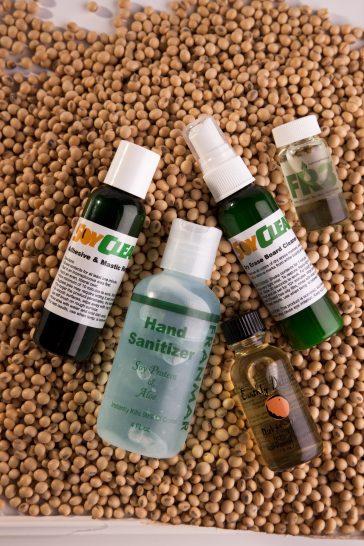 Are Soy-Based Products Safe for Daily Consumption