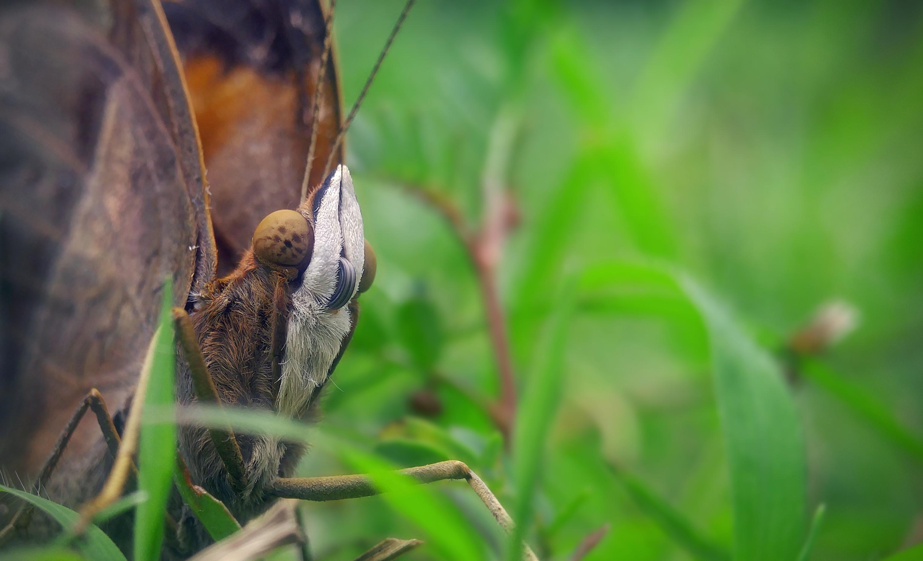 Crafting the Perfect Post-Workout Beverage