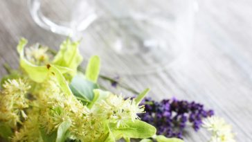 Best herbal teas for reducing anxiety