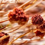 Is Gluten-Free Eating Necessary for All