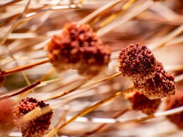 Is Gluten-Free Eating Necessary for All