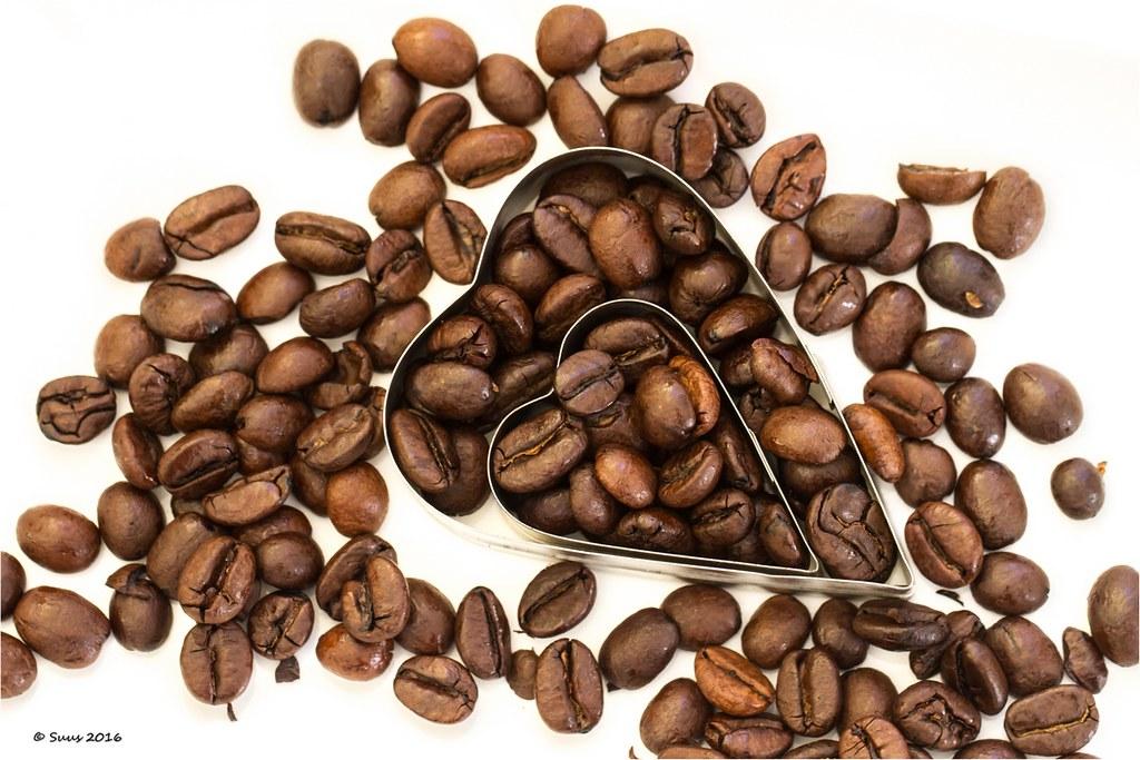 Expert Recommendations for Supporting Liver Health