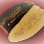 Are Store-Bought Smoothies Unhealthier Than Homemade