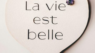 The Power of Positive Thinking for Wellness