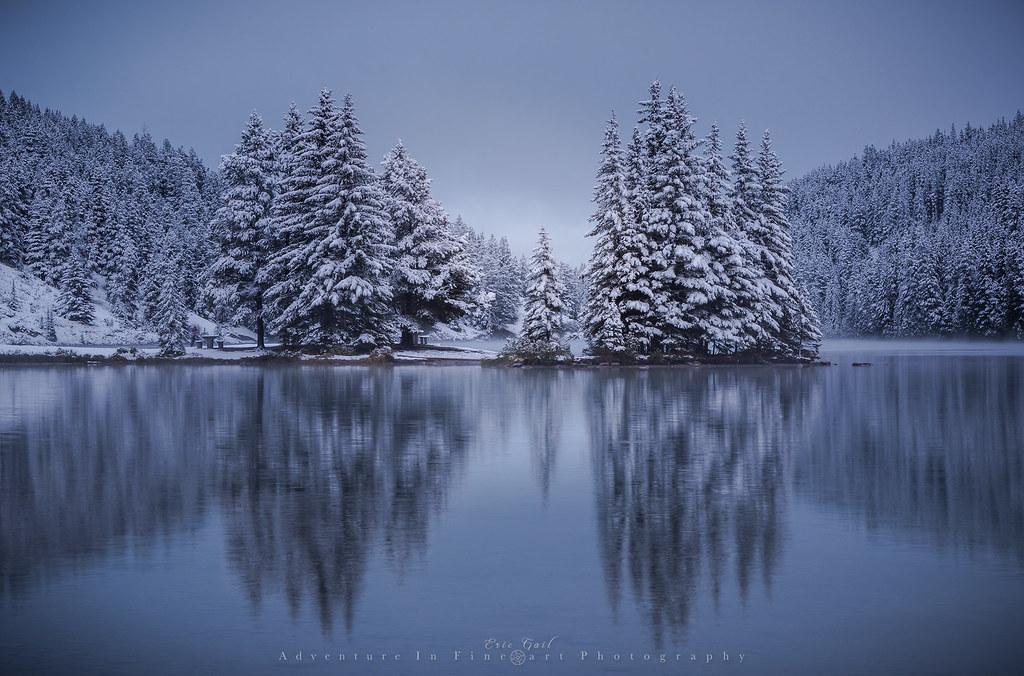 Step Up: Incorporating Walks into Your Work Schedule