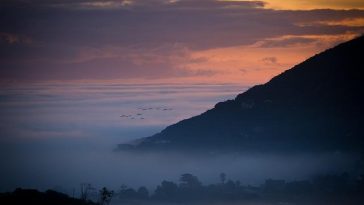 Outdoor Dining Spots to Enjoy This Season in Cape Town