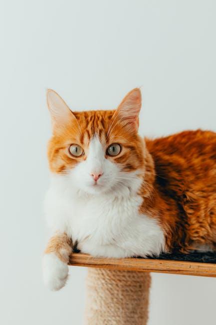 Mastering the Art of Ginger Shot Preparation