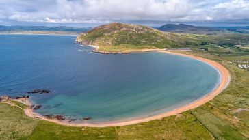 Detox Waters to Flush Out Toxins Naturally